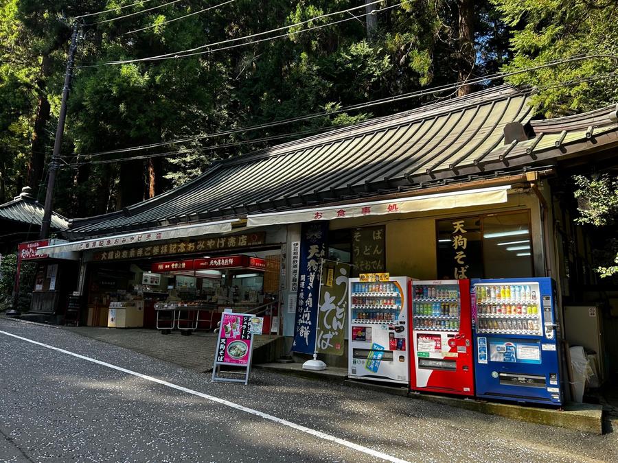 伊豆箱根鉄道のおすすめ