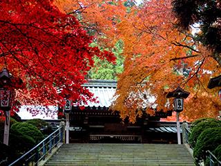 紅葉(大雄山最乗寺)
