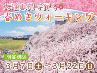 伊豆箱根鉄道のおすすめ