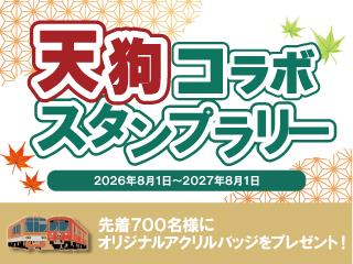 伊豆箱根鉄道のおすすめ