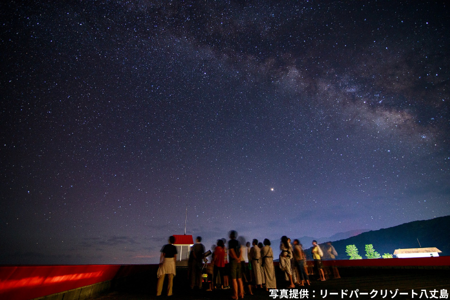 リードパーク（星空）