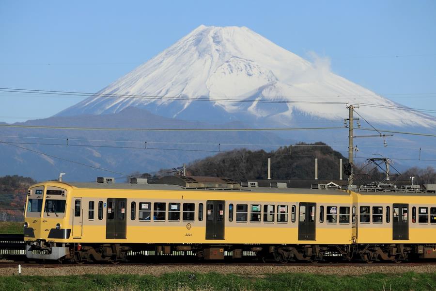 イエロー・パラダイス・トレイン