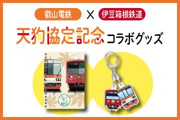 伊豆箱根鉄道のおすすめ