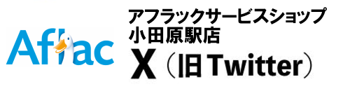 banner_hoken_odawara