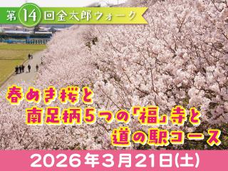 伊豆箱根鉄道のおすすめ