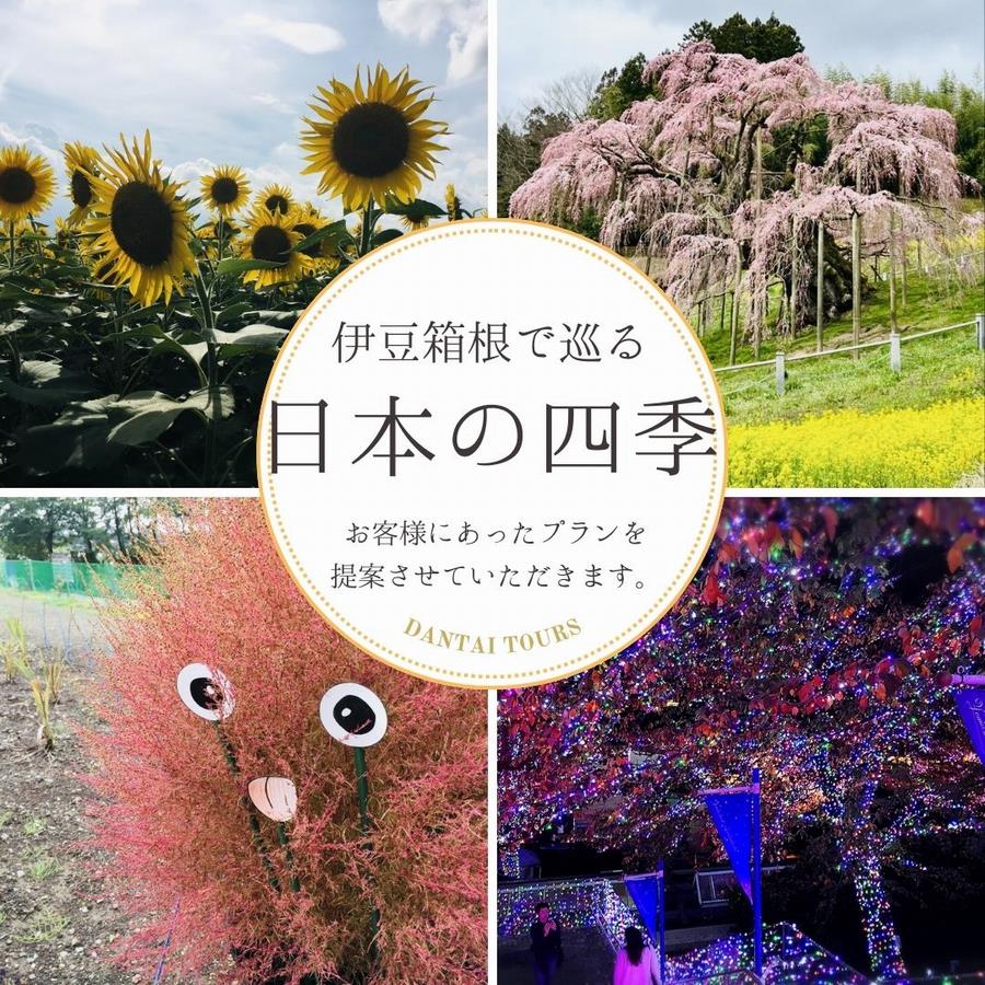 四季