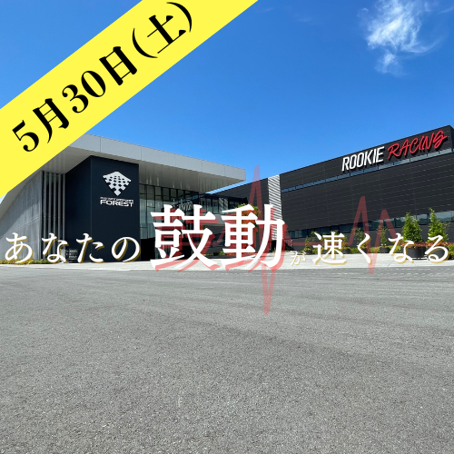 伊豆箱根鉄道のおすすめ